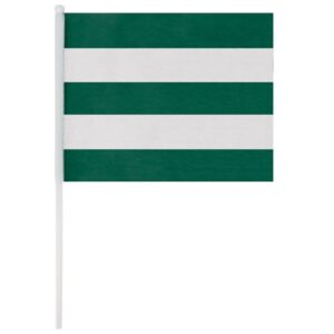 BANDERÍN MIRT