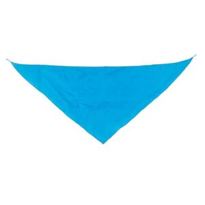 PAÑOLETA TRIANGULAR FERMÍN